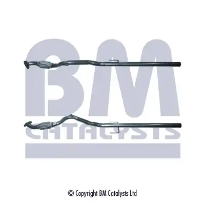 BM CATALYSTS BM50100