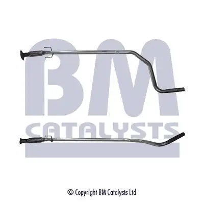 BM CATALYSTS BM50101