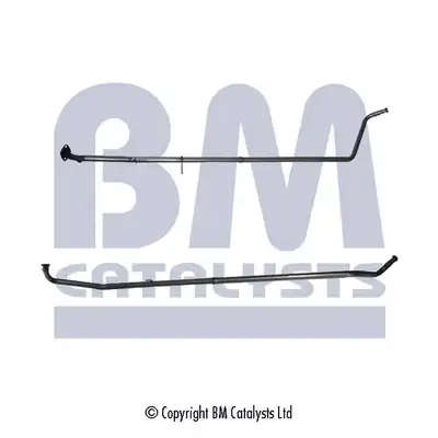BM CATALYSTS BM50121
