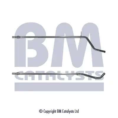 BM CATALYSTS BM50125
