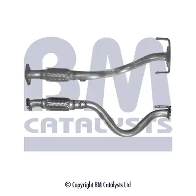 BM CATALYSTS BM50161