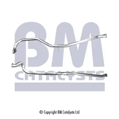 BM CATALYSTS BM50221