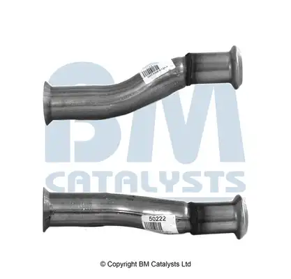 BM CATALYSTS BM50222
