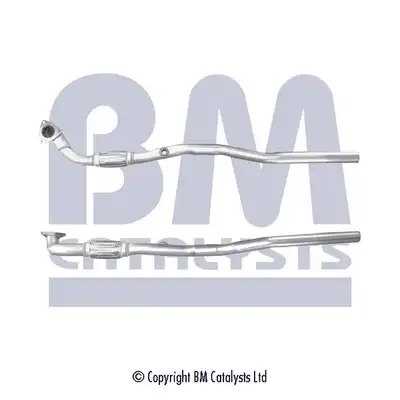 BM CATALYSTS BM50293