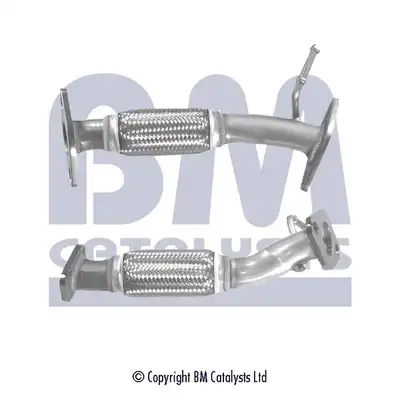 BM CATALYSTS BM50308