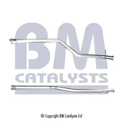 BM CATALYSTS BM50392