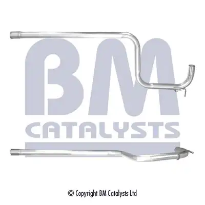 BM CATALYSTS BM50412