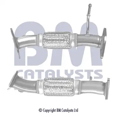 BM CATALYSTS BM50479