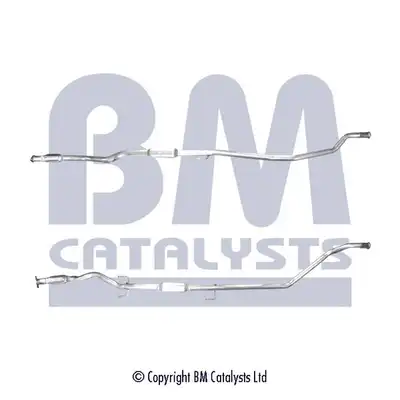 BM CATALYSTS BM50565