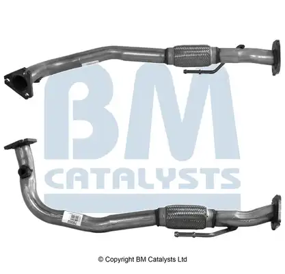 BM CATALYSTS BM70002