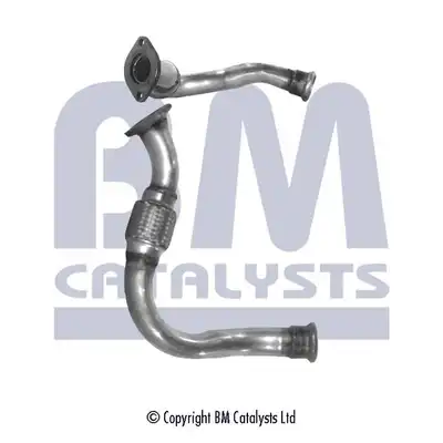 BM CATALYSTS BM70250