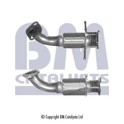 BM CATALYSTS BM70399
