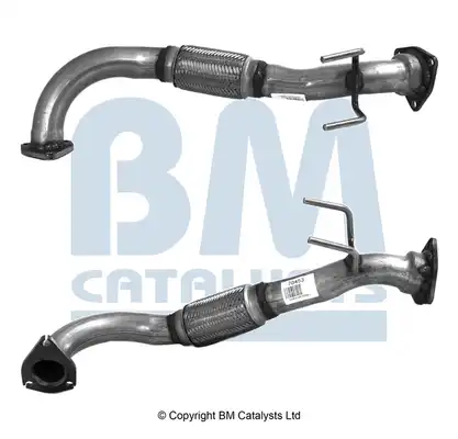 BM CATALYSTS BM70453