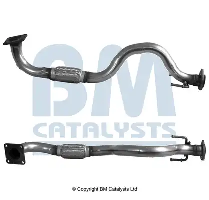 BM CATALYSTS BM70455