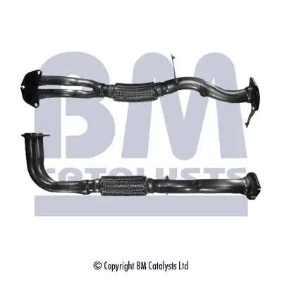 BM CATALYSTS BM70484