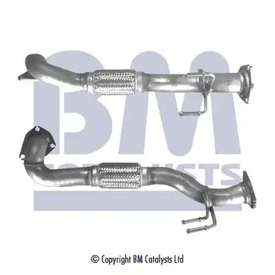 BM CATALYSTS BM70563