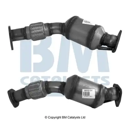 BM CATALYSTS BM80021H