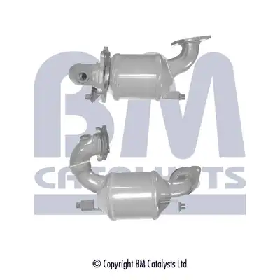 BM CATALYSTS BM80481H
