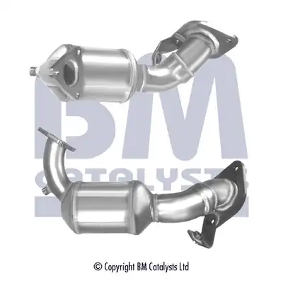 BM CATALYSTS BM80560H