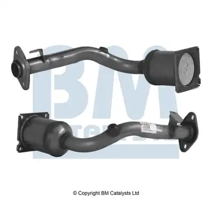 BM CATALYSTS BM91007H
