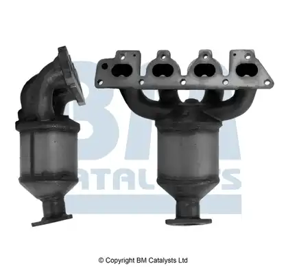 BM CATALYSTS BM91020H