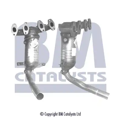 BM CATALYSTS BM91208H