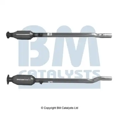 BM CATALYSTS BM91363H