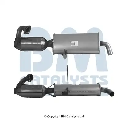 BM CATALYSTS BM91364H