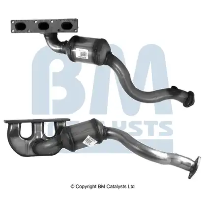 BM CATALYSTS BM91455H