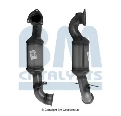 BM CATALYSTS BM91499H