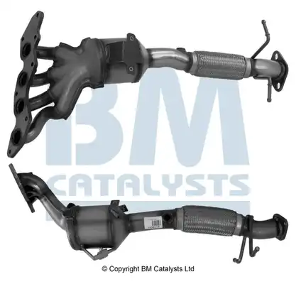 BM CATALYSTS BM91560H