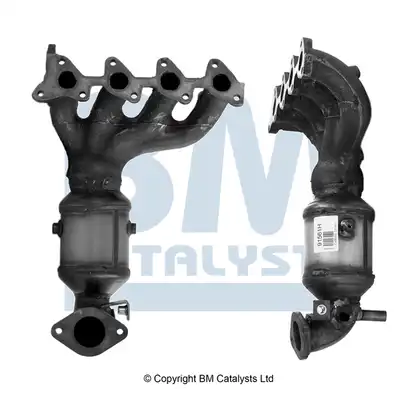 BM CATALYSTS BM91561H