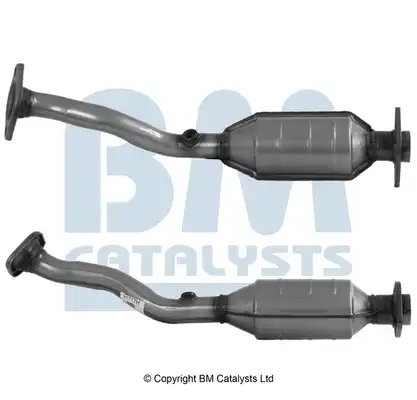 BM CATALYSTS BM91717H