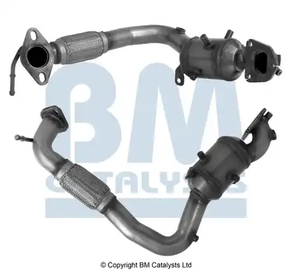 BM CATALYSTS BM91755H