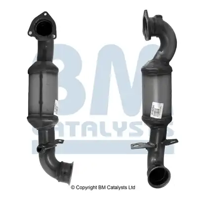 BM CATALYSTS BM91925H