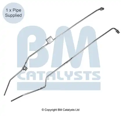 BM CATALYSTS PP11001A