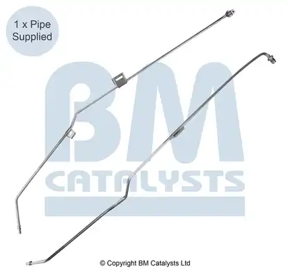 BM CATALYSTS PP11011A