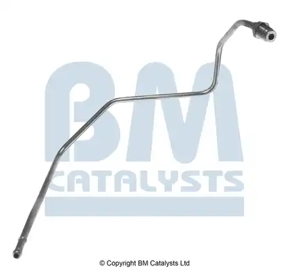 BM CATALYSTS PP11013B