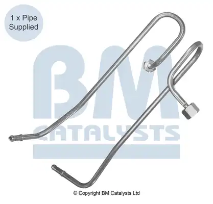 BM CATALYSTS PP11016A
