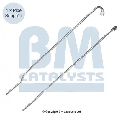 BM CATALYSTS PP11027A