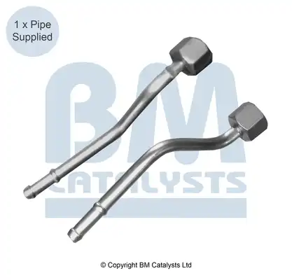 BM CATALYSTS PP11151A