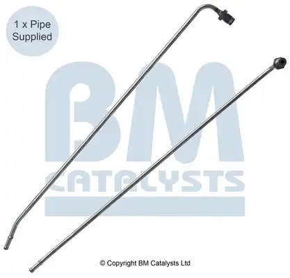 BM CATALYSTS PP31021B