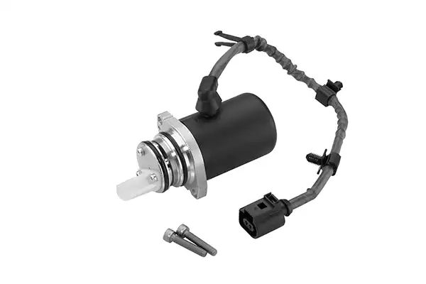 BORGWARNER DS118613