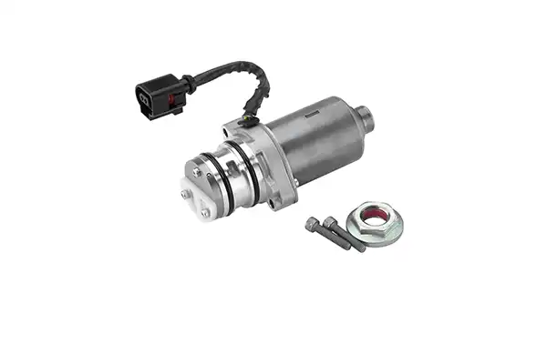 BORGWARNER DS119863