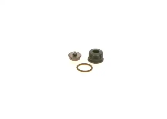 BOSCH F 00N 201 244