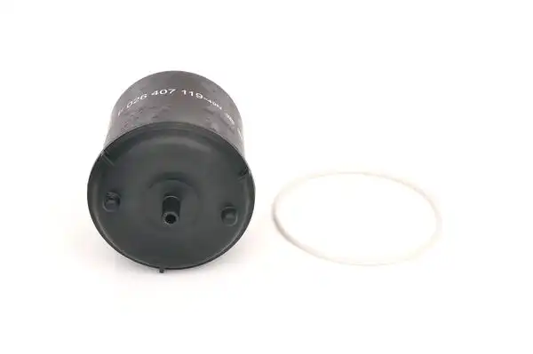 BOSCH F 026 407 119