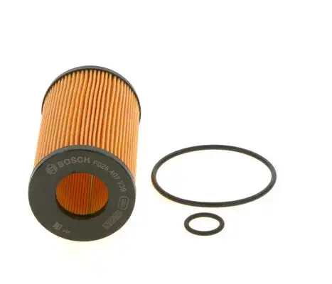 BOSCH F 026 407 239
