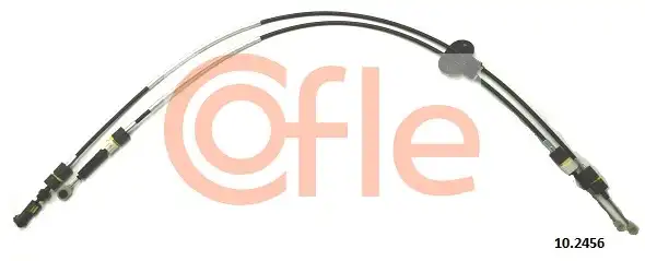 COFLE 10.2456