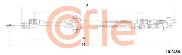 COFLE 10.2466