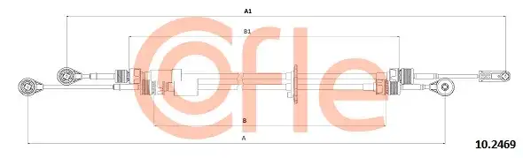 COFLE 10.2469